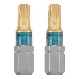 1287290 - Bit Titan Torx 25x25mm 1 Pkg.=2Stk.